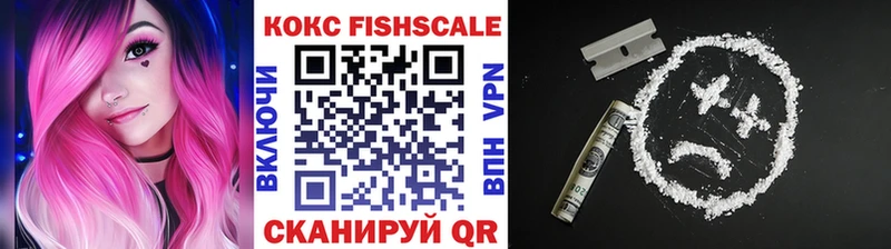 КОКАИН FishScale  где найти   Ветлуга 