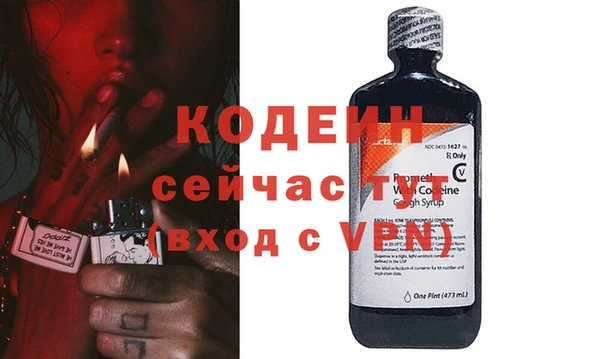 хмурый Няндома