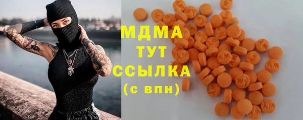 хмурый Няндома