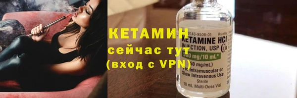 хмурый Няндома