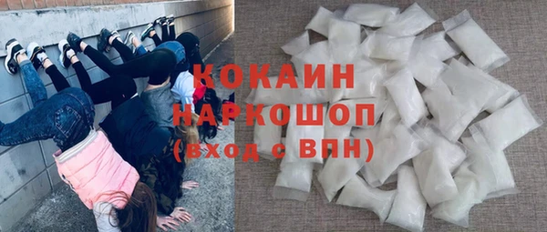 хмурый Няндома