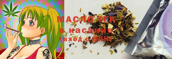 хмурый Няндома
